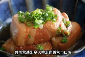 炖猪肉放什么调料？牢记这2种，猪肉鲜嫩，越嚼越香！视频封面