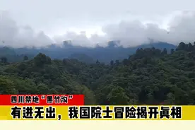 四川禁地“黑竹沟”，活物靠近有进无出，我国冒险揭开真相视频封面
