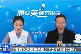 最高罚100万元！古树名木保护有新规，3月15日起施行视频封面