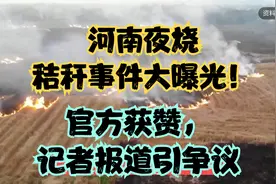 河南夜烧秸秆事件大曝光！官方获赞，记者报道引争议视频封面
