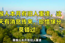 属猴人本月有旧人重逢，这几天有消息传来，珍惜缘分莫错过视频封面