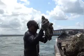 在“世界十字路口”巴拿马，这些岛民却将沦为全球首批气候难民视频封面