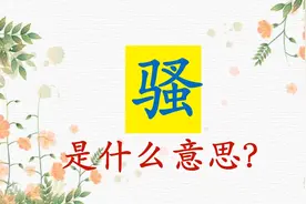 ”骚“是什么意思？视频封面