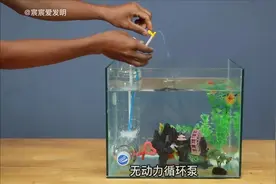 无动力循环水泵，加快水循环增加氧气，养鱼再也不用换水了视频封面