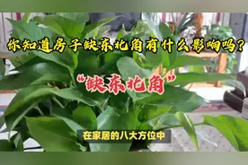 房子缺东北角如何用化解物？视频封面