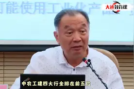 温铁军：世界前5大银行，中国占4家，你就是世界第一金融大国视频封面
