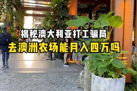 揭秘澳大利亚打工骗局，去澳洲农场打工能月入四万吗？四百零九期视频封面