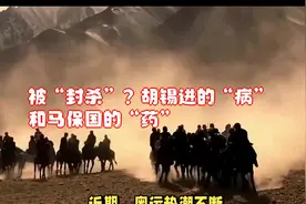 被“封杀”？胡锡进的“病”，和马保国的“药”！