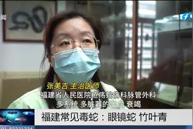 春夏之交户外活动小心蛇出没，蛇伤可高温爆灼，不建议用嘴吸吮视频封面