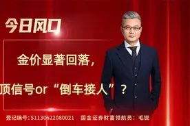 金价显著回落，见顶信号or“倒车接人”？视频封面