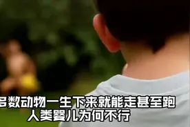 大多数动物一生下来就能走甚至跑，人类婴儿为何不行？视频封面