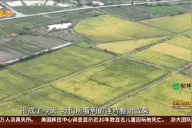 守护耕地 金华：打造“共享田园” 保护耕地促共富视频封面