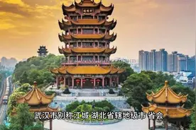 第8个成为全国超大城市的为什么是武汉视频封面