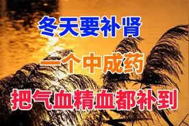 冬天要补肾 一个中成药 把气血精血都补到视频封面