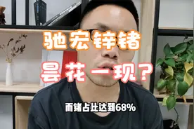 驰宏锌锗爆发后回落！老牌周期公司！有色仍是昙花一现？视频封面