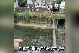 悬赏3万！上饶污水河内惊现“无名碎尸”，目击者：只有下肢部分视频封面