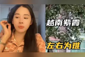 紫霞给小赵发信息，不能过就算，紫霞现在左右为难，走也走不得，