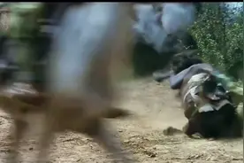 一口气看完解放大西北之咸阳保卫战。视频封面