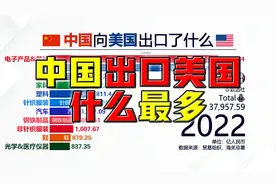 中国向美国出口了什么？@DOU+小助手视频封面