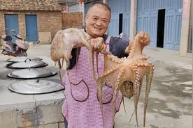 588买3只14斤大章鱼，花4个小时做港式卤水章鱼，配点小酒真舒服视频封面