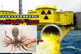 日本为何要排放核废水？污水240天后到中国海域，海鲜会变异吗？视频封面