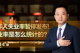 青年人失业率暂停发布！失业率是怎么统计的？视频封面
