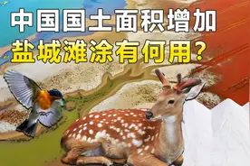 每年增长两个西湖？盐城滩涂从何而来，有什么用？视频封面