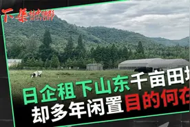 日本在山东租下1500亩良田，荒废5年啥也不管，目的何在？视频封面