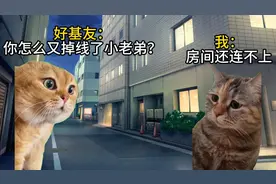 【幻兽帕鲁】关于我玩帕鲁被掉线、延迟折磨这件事 猫meme
