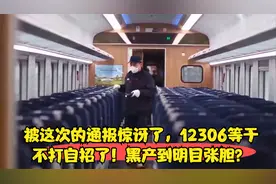被这次的通报惊讶了，12306等于不打自招了！黑产到明目张胆？视频封面