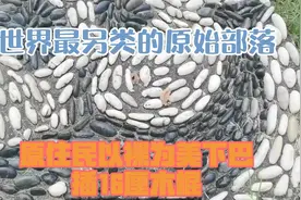 世界最“另类”的原始部落：原住民“以裸为美”，下巴插16厘木棍视频封面