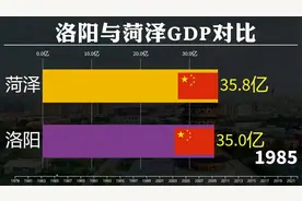 同为牡丹之乡，看菏泽与洛阳GDP对比，差距大吗？视频封面