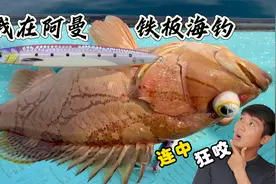 《Oman·自驾》第6集：水深200米的海域抽铁板，鱼口狂咬视频封面