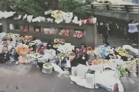 “胖猫”事件后续：办案民警遭网暴，超94吨外卖堆满长江大桥视频封面