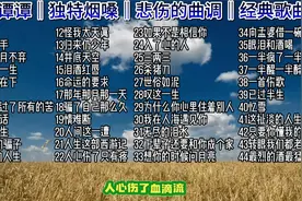 苏谭谭磁性嗓音40首歌曲合集 独特烟嗓味 悲伤的曲调 百听不厌视频封面