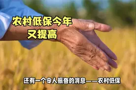 9月起，农村低保标准又提高，每年多领几百元！还能减免新农合！视频封面