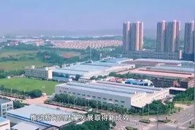 蔡甸区：以国际化平台构筑新优势 聚力实现发展能级新跨越视频封面