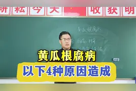 黄瓜根腐病用什么药灌根效果好，黄瓜根腐、茎基腐蕞有效的方法！视频封面