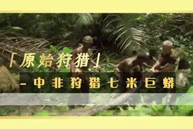 《原始狩猎》中非狩猎七米巨蟒视频封面