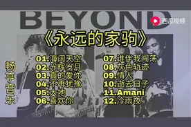 经典Beyond 精选12首经典歌曲 让我们一起致敬家驹视频封面