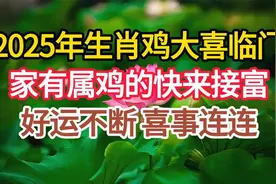 2025年生肖鸡大喜临门！家有属鸡的快来接福，好运不断！视频封面