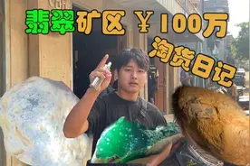 矿区的翡翠白菜价？100万淘货日记实录视频封面