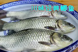 四川特色藿香鲫鱼，很多人说吃起来是臭的，但是懂的人吃起来特香
