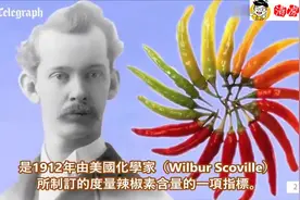 作死老外，挑战吃世界上最辣的辣椒，吃完后纷纷流下激动的泪水视频封面