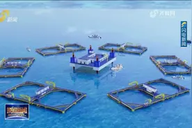 财金“海上粮仓壹号”系列首个三文鱼近海深水网箱在日照下水视频封面