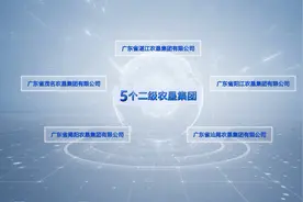 广东农垦宣传片视频封面