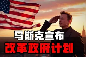 马斯克回应美国政府改革：要斩草除根视频封面