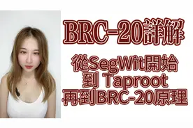 BRC-20原理。SegWIt、Taproot、UTXO、FIFO、聪、比特币