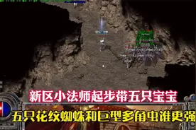 热血传奇：小法师起步带五只宝宝，花纹蜘蛛和巨型多角虫谁更强视频封面