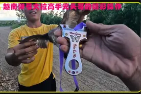 看看越南弹弓大拉是如何打高靶的视频封面